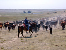 USA-Colorado-Cowboy Adventure in Colorado